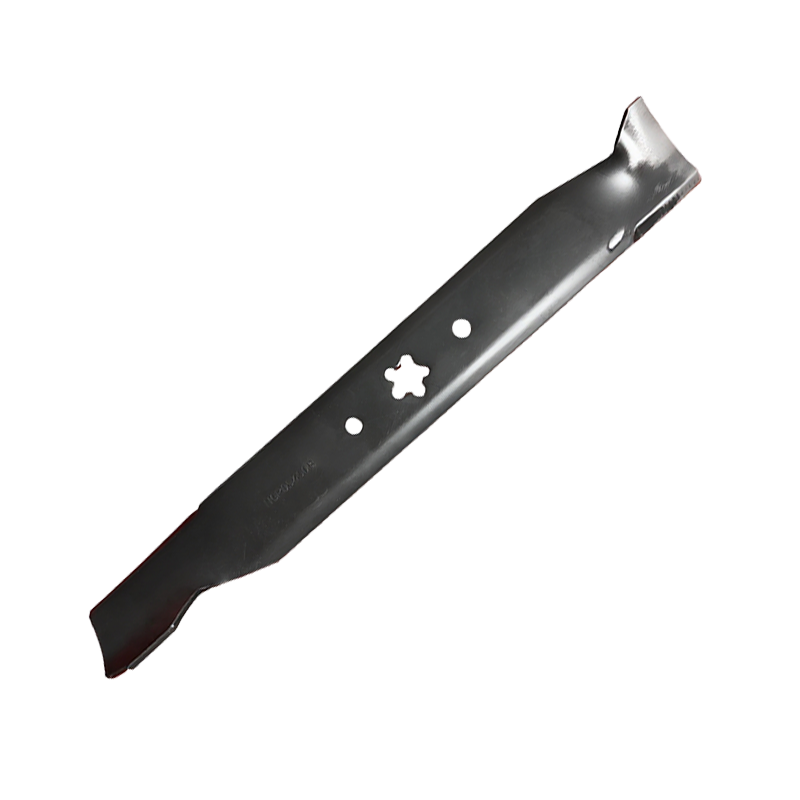 AYP